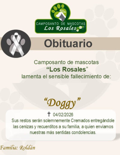 Doggy