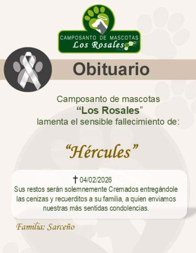 Hercules