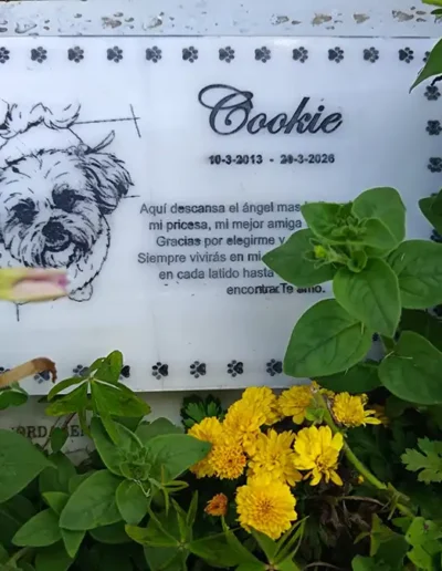 Lápida